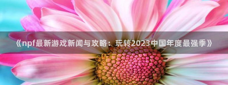 欧博官网app软件下载安装