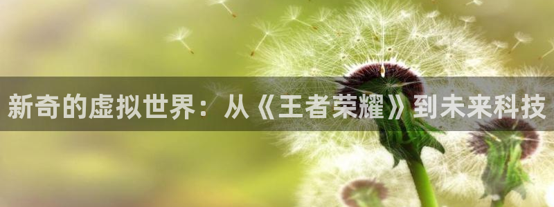 欧博官网怎么黑进去做假：新奇的虚拟世界：从《王者荣耀》到未来