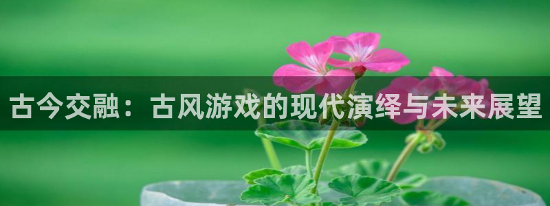 欧博网站是真是假：古今交融：古风游戏的现代演绎与未来展望