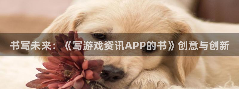 欧博平台是哪里的：书写未来：《写游戏资讯APP的书》创意与创